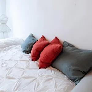  Apartment S Bramante